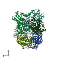 PDB entry 1nmp coloured by chain, side view.