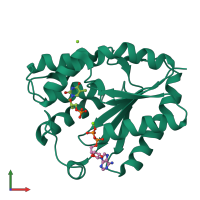 PDB entry 1nn3 coloured by chain, front view.