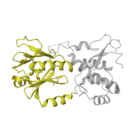 The deposited structure of PDB entry 1nnj contains 1 copy of SCOP domain 81623 (N-terminal domain of MutM-like DNA repair proteins) in Formamidopyrimidine-DNA glycosylase. Showing 1 copy in chain C [auth A].