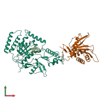 PDB entry 1noc coloured by chain, front view.