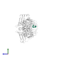 DNA (5'-D(*TP*TP*T)-3') in PDB entry 1noy, assembly 1, side view.