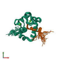 PDB entry 1npq coloured by chain, ensemble of 21 models, front view.