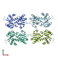 PDB entry 1npy coloured by chain, front view.