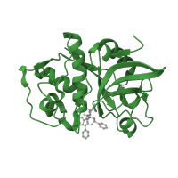 The deposited structure of PDB entry 1npz contains 2 copies of SCOP domain 54002 (Papain-like) in Cathepsin S. Showing 1 copy in chain A.