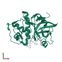 Cathepsin S in PDB entry 1npz, assembly 1, front view.