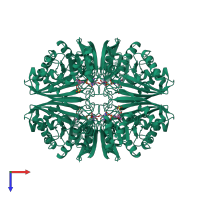 Homo tetrameric assembly 1 of PDB entry 1nq5 coloured by chemically distinct molecules, top view.