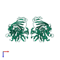 Glyceraldehyde-3-phosphate dehydrogenase in PDB entry 1nq5, assembly 2, top view.