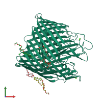 PDB entry 1nqg coloured by chain, front view.