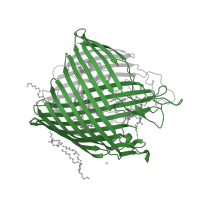 The deposited structure of PDB entry 1nqh contains 1 copy of Pfam domain PF00593 (TonB dependent receptor) in Vitamin B12 transporter BtuB. Showing 1 copy in chain A.