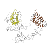 The deposited structure of PDB entry 1nql contains 2 copies of Pfam domain PF01030 (Receptor L domain) in Epidermal growth factor receptor. Showing 2 copies in chain A.