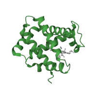 The deposited structure of PDB entry 1nqp contains 2 copies of SCOP domain 46463 (Globins) in Hemoglobin subunit alpha. Showing 1 copy in chain A.