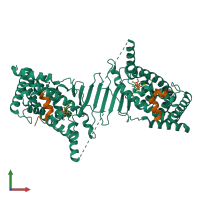 Hetero tetrameric assembly 3 of PDB entry 1nrl coloured by chemically distinct molecules, front view.