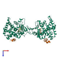 Hetero tetrameric assembly 3 of PDB entry 1nrl coloured by chemically distinct molecules, top view.