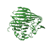 The deposited structure of PDB entry 1ns0 contains 2 copies of SCOP domain 74911 (Aldose 1-epimerase (mutarotase)) in Aldose 1-epimerase. Showing 1 copy in chain B.