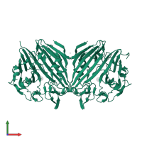 Aldose 1-epimerase in PDB entry 1ns7, assembly 1, front view.