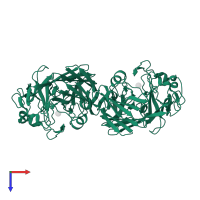 Aldose 1-epimerase in PDB entry 1ns7, assembly 1, top view.