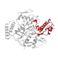 The deposited structure of PDB entry 1nsi contains 4 copies of CATH domain 3.90.1230.10 (Bovine Endothelial Nitric Oxide Synthase Heme Domain; Chain: A,domain 3) in Nitric oxide synthase, inducible. Showing 1 copy in chain A.