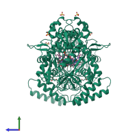 Homo dimeric assembly 1 of PDB entry 1nsi coloured by chemically distinct molecules, side view.