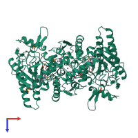 Homo dimeric assembly 1 of PDB entry 1nsi coloured by chemically distinct molecules, top view.