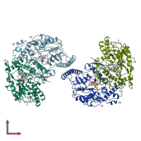 PDB entry 1nsi coloured by chain, front view.