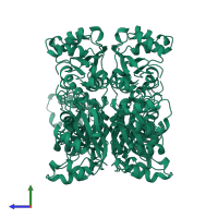 Nucleoside diphosphate kinase B in PDB entry 1nsk, assembly 1, side view.