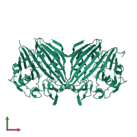 Aldose 1-epimerase in PDB entry 1nss, assembly 1, front view.