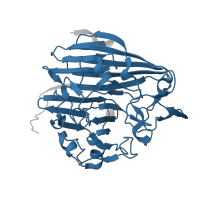 The deposited structure of PDB entry 1nsz contains 2 copies of Pfam domain PF01263 (Aldose 1-epimerase) in Aldose 1-epimerase. Showing 1 copy in chain B.