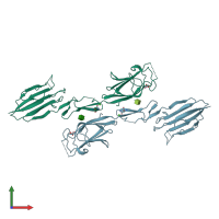 PDB entry 1nt0 coloured by chain, front view.