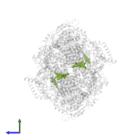 PROTOPORPHYRIN IX CONTAINING FE in PDB entry 1ntm, assembly 1, side view.
