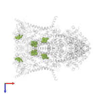 PROTOPORPHYRIN IX CONTAINING FE in PDB entry 1ntm, assembly 1, top view.