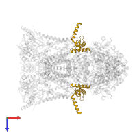 Cytochrome b-c1 complex subunit 7 in PDB entry 1ntm, assembly 1, top view.