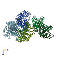 PDB entry 1nto coloured by chain, top view.