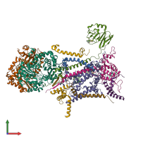 PDB 1nu1 coloured by chain and viewed from the front.