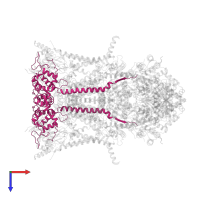 Cytochrome c1, heme protein, mitochondrial in PDB entry 1nu1, assembly 1, top view.