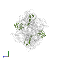 Cytochrome b-c1 complex subunit Rieske, mitochondrial in PDB entry 1nu1, assembly 1, side view.