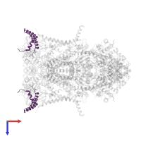 Cytochrome b-c1 complex subunit 6, mitochondrial in PDB entry 1nu1, assembly 1, top view.