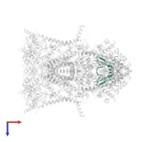 Cytochrome b-c1 complex subunit 9 in PDB entry 1nu1, assembly 1, top view.