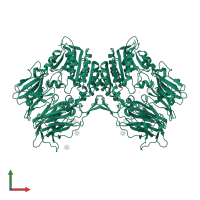 Dipeptidyl peptidase 4 in PDB entry 1nu6, assembly 1, front view.