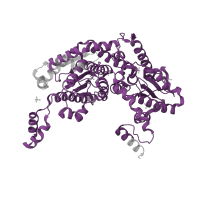 The deposited structure of PDB entry 1nuh contains 1 copy of Pfam domain PF00342 (Phosphoglucose isomerase) in Glucose-6-phosphate isomerase. Showing 1 copy in chain A.