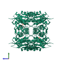 Homo tetrameric assembly 1 of PDB entry 1nut coloured by chemically distinct molecules, side view.