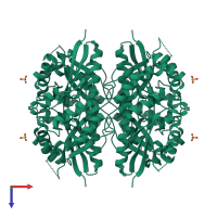 Homo tetrameric assembly 1 of PDB entry 1nut coloured by chemically distinct molecules, top view.