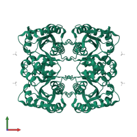 Nicotinamide/nicotinic acid mononucleotide adenylyltransferase 3 in PDB entry 1nut, assembly 1, front view.