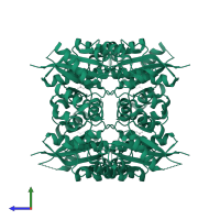 Nicotinamide/nicotinic acid mononucleotide adenylyltransferase 3 in PDB entry 1nut, assembly 1, side view.