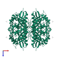 Nicotinamide/nicotinic acid mononucleotide adenylyltransferase 3 in PDB entry 1nut, assembly 1, top view.
