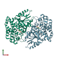 PDB entry 1nvd coloured by chain, front view.