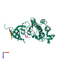 Hetero dimeric assembly 1 of PDB entry 1nvq coloured by chemically distinct molecules, top view.