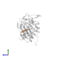 Peptide ASVSA in PDB entry 1nvq, assembly 1, side view.