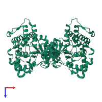 Homo dimeric assembly 1 of PDB entry 1nw1 coloured by chemically distinct molecules, top view.