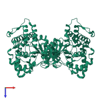 Choline kinase A2 in PDB entry 1nw1, assembly 1, top view.