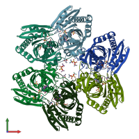 PDB entry 1nw4 coloured by chain, front view.